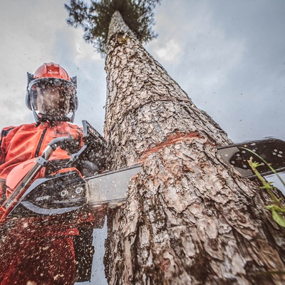 Motosierra Forestal Echo CS 4310 SX/40
